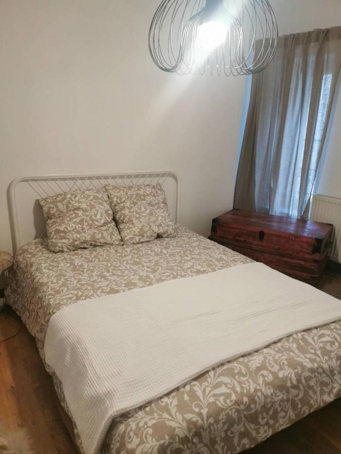 Santocha : Appartement En Plein Coeur De Ville ! Carcassonne Eksteriør billede