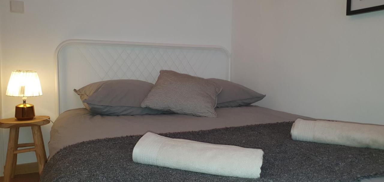 Santocha : Appartement En Plein Coeur De Ville ! Carcassonne Eksteriør billede