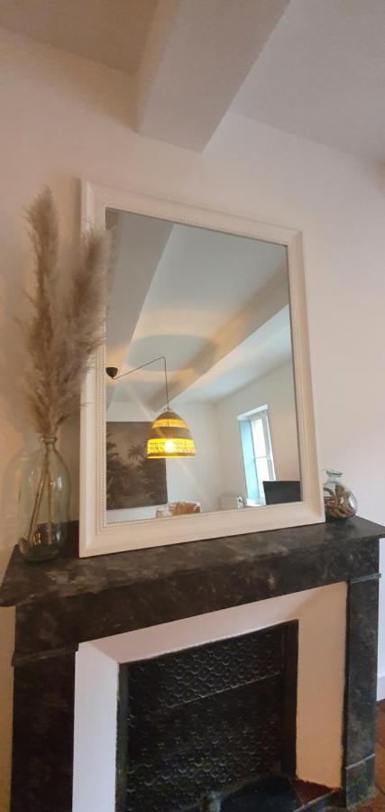 Santocha : Appartement En Plein Coeur De Ville ! Carcassonne Eksteriør billede