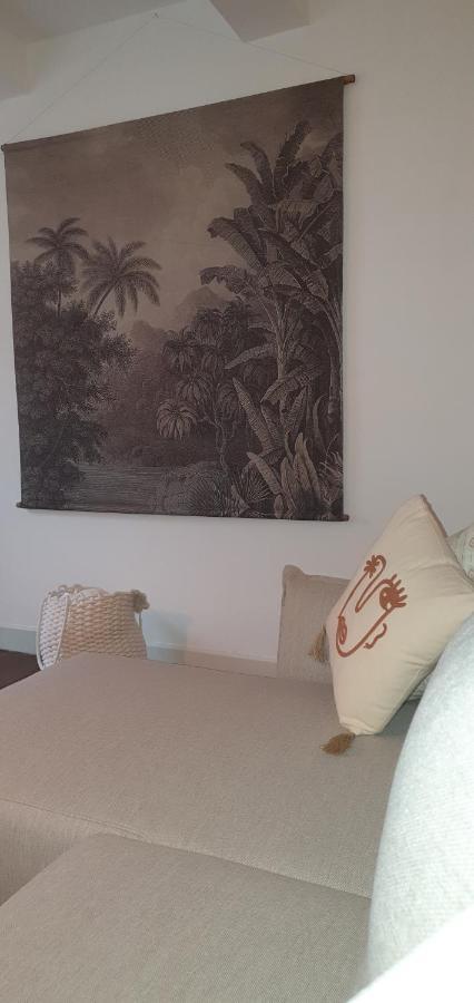Santocha : Appartement En Plein Coeur De Ville ! Carcassonne Eksteriør billede